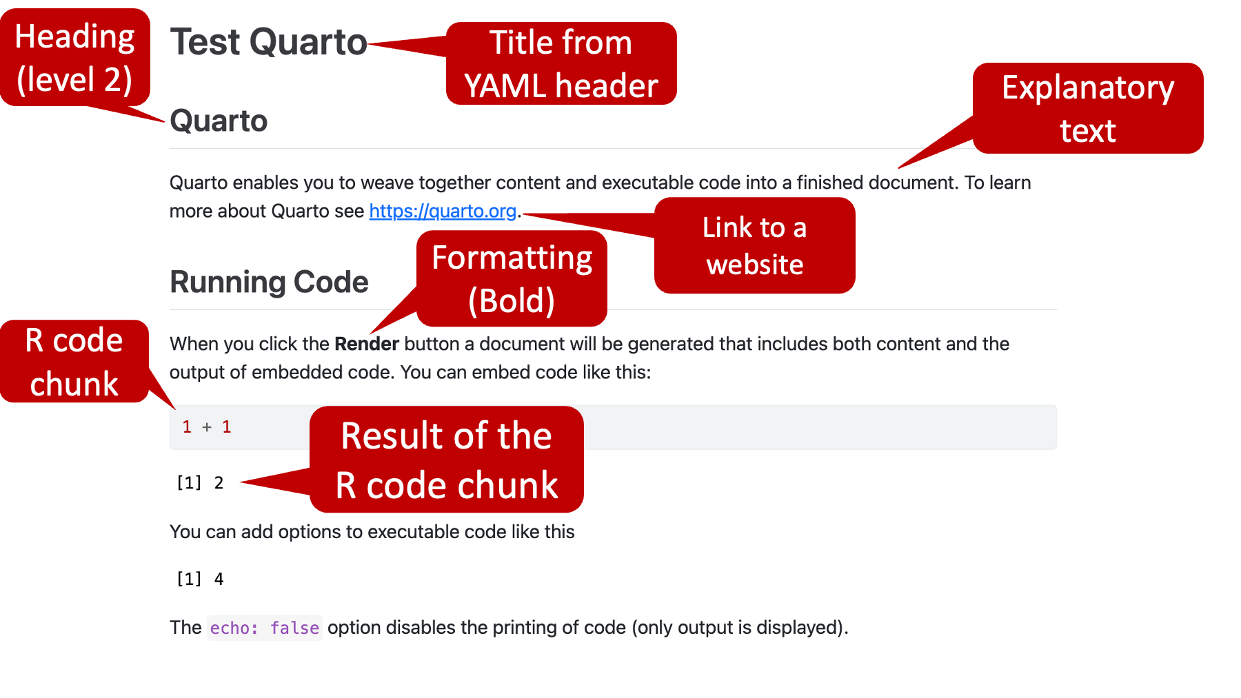 An HTML file created using a Quarto file.