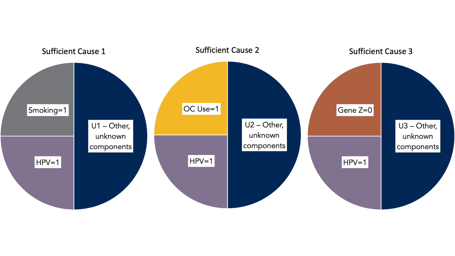 Sufficient causes of cervical cancer.