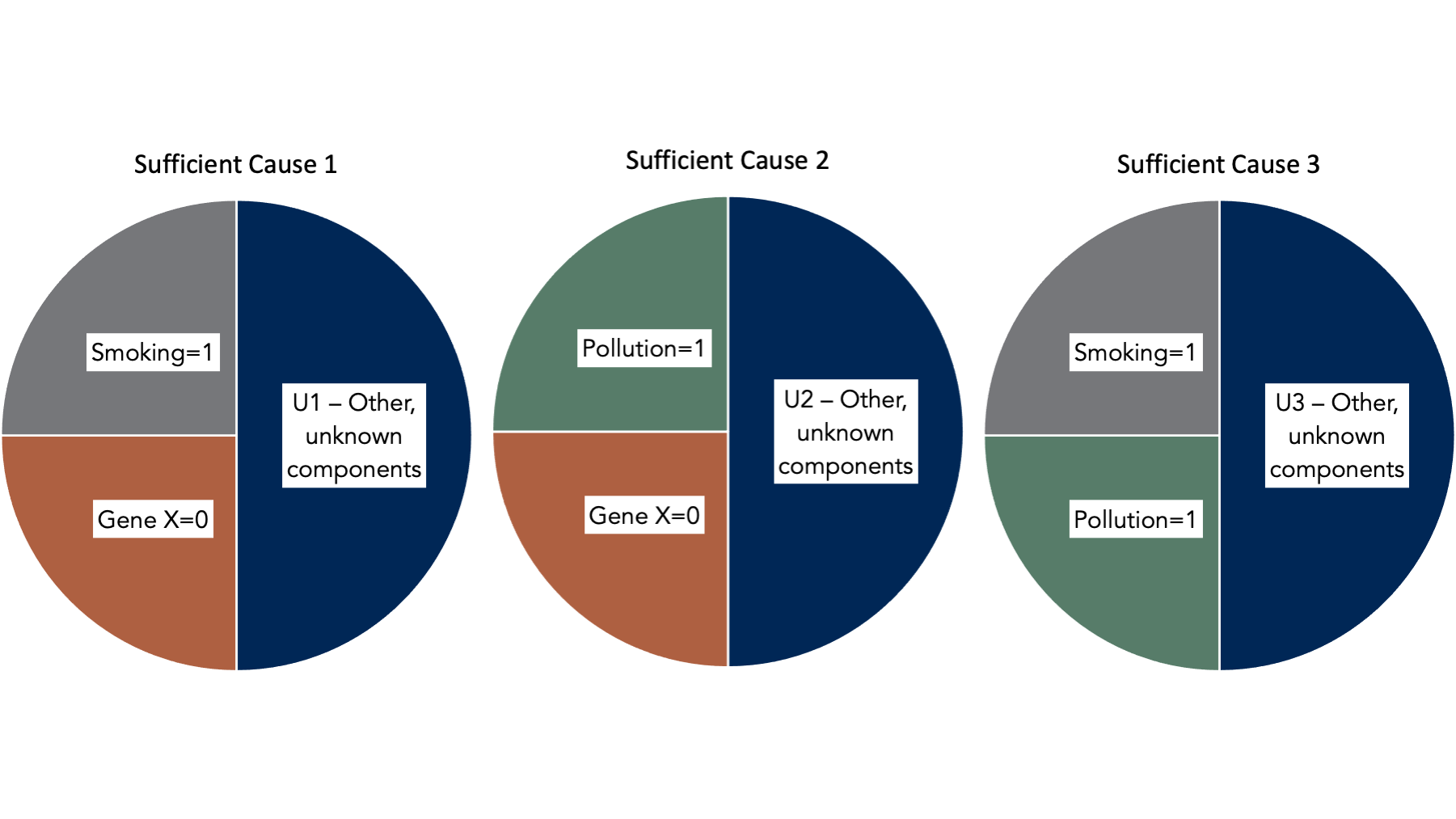 Sufficient causes of lung cancer.